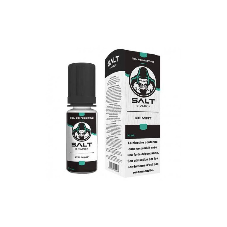 Salt Ice Mint 10ml ot.