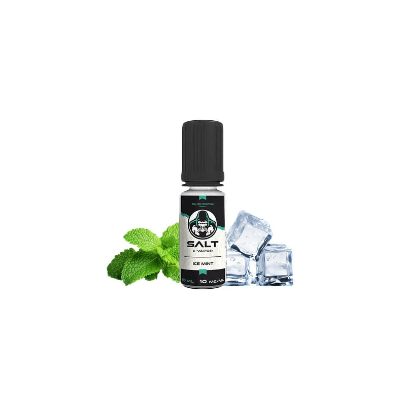 Salt Ice Mint 10ml ot.