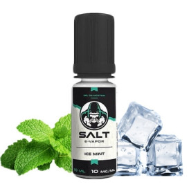 Salt Ice Mint 10ml ot.