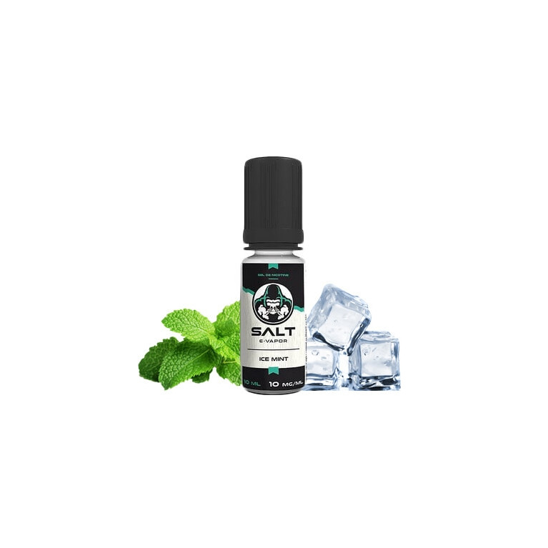 Salt Ice Mint 10ml ot.