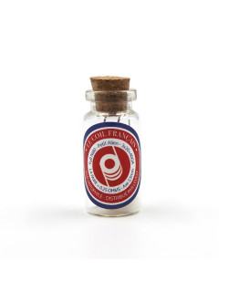Résistances prémontées Petit Alien (0.25ohm) Le Coil Français
