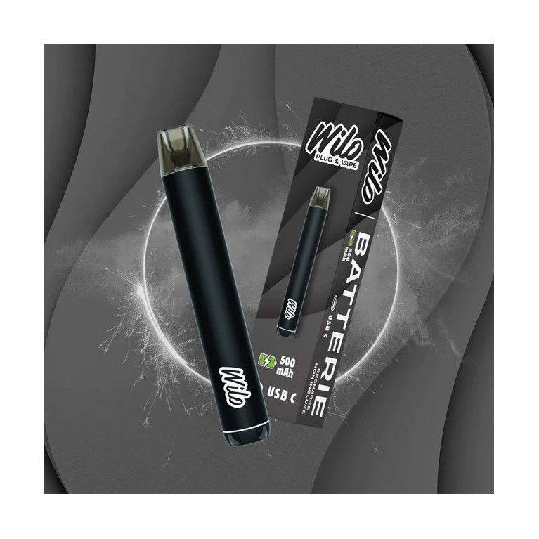 Batterie Wilo Batterie Wilo