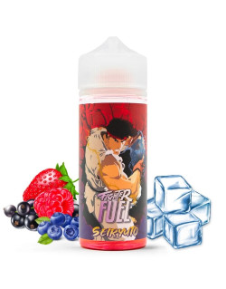 Seiryuto Fighter Fuel-100ml ot.
