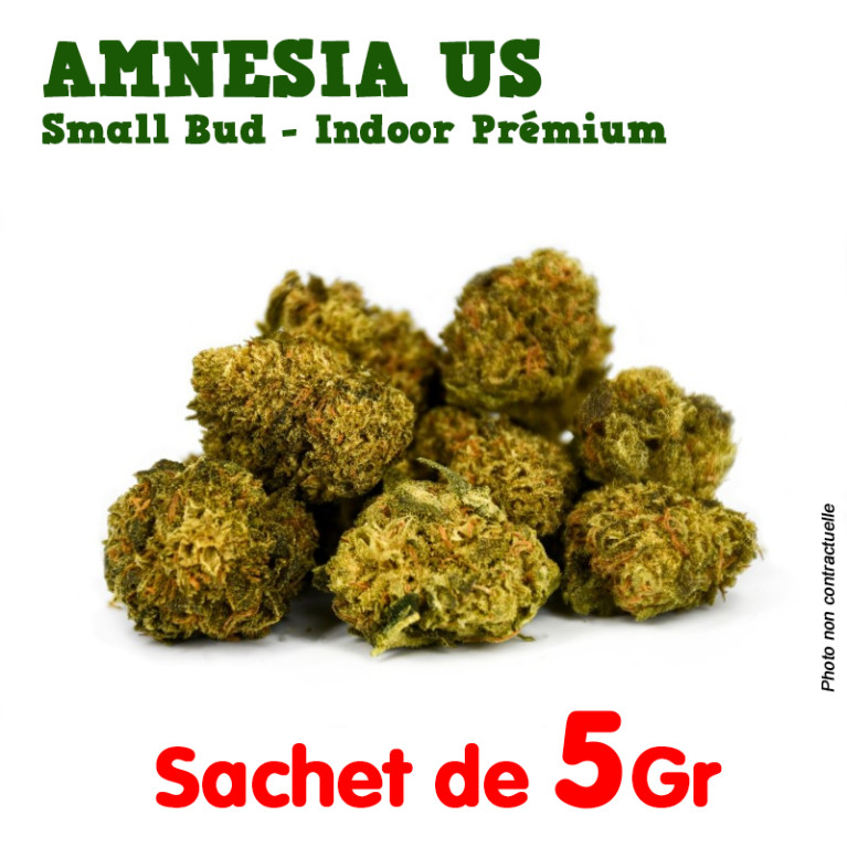 Fleur de CBD - Amnesia US Small Bud - Indoor Premium ++ df.