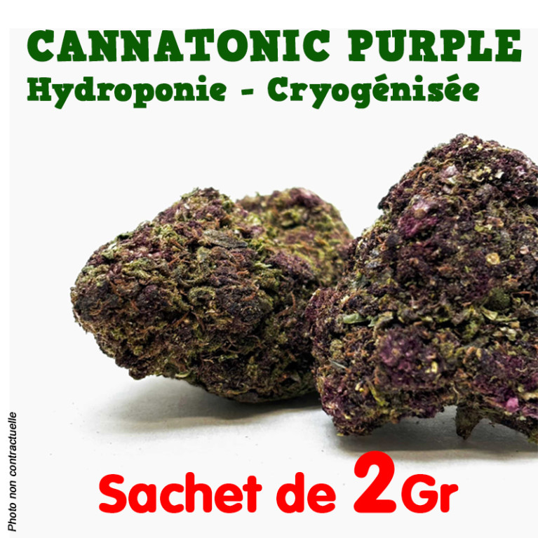 Fleur de CBD - Cannatonic Purple - Indoor Premium + Cryogénisée df.