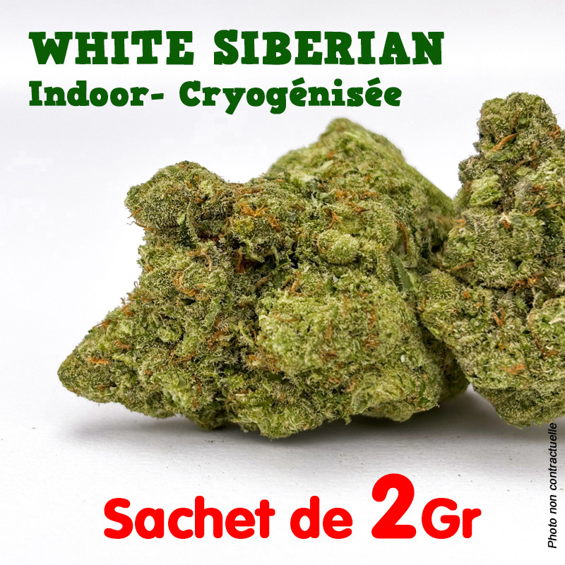 Fleur de CBD - White Siberian - Indoor Cryogénisée df.