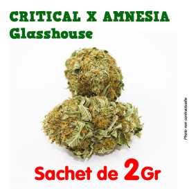 Fleur de CBD - Critical X...