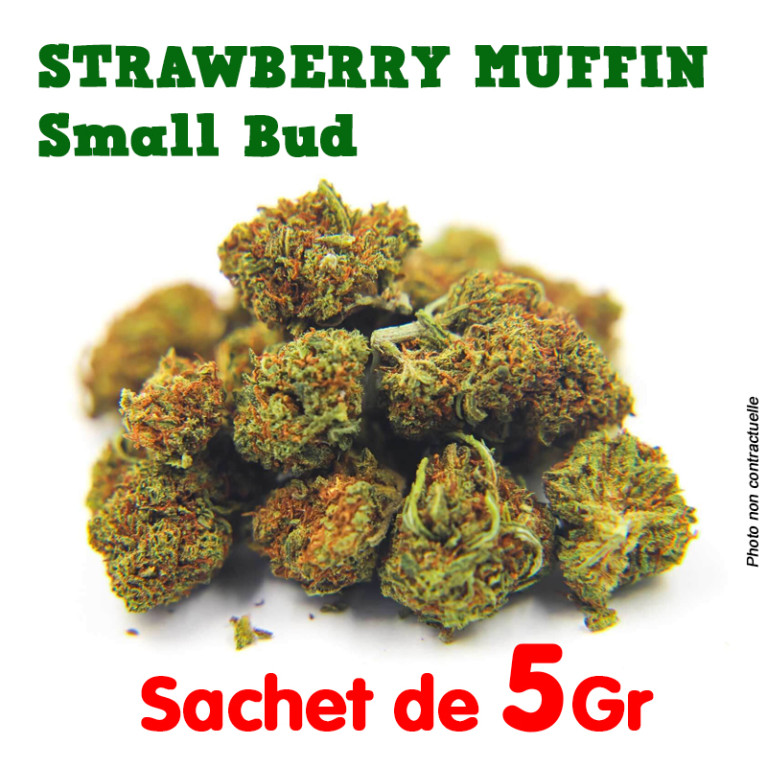 Fleur de CBD - Blueberry Muffin -  Small Bud