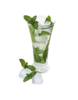 Menthe Glaciale Gaïatrend