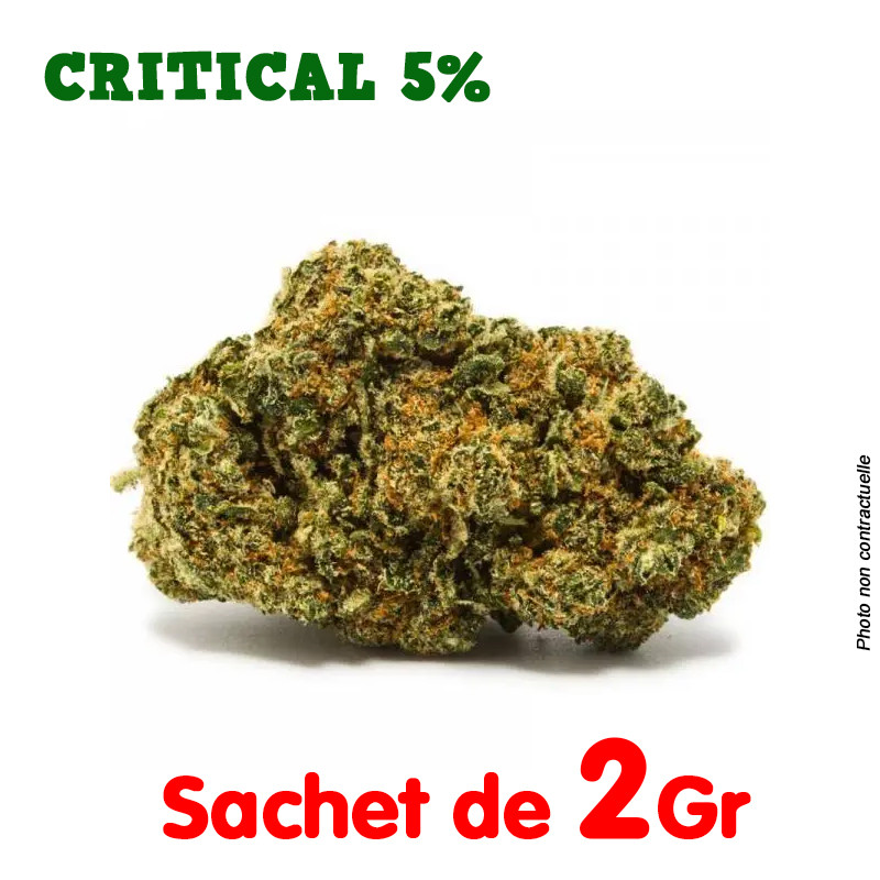 Fleur de CBD : Critical 5%